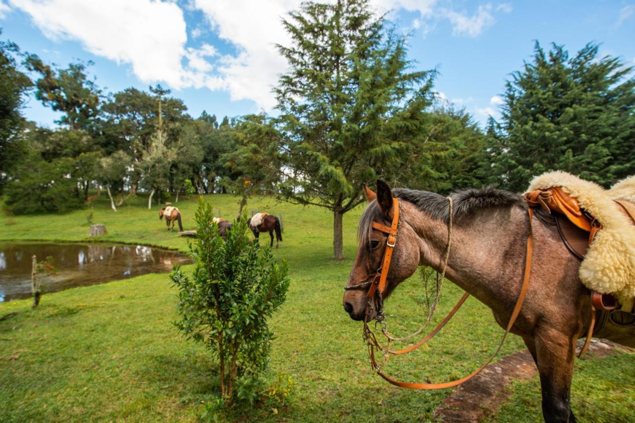 ホテル Aires De Patagonia Cambará エクステリア 写真